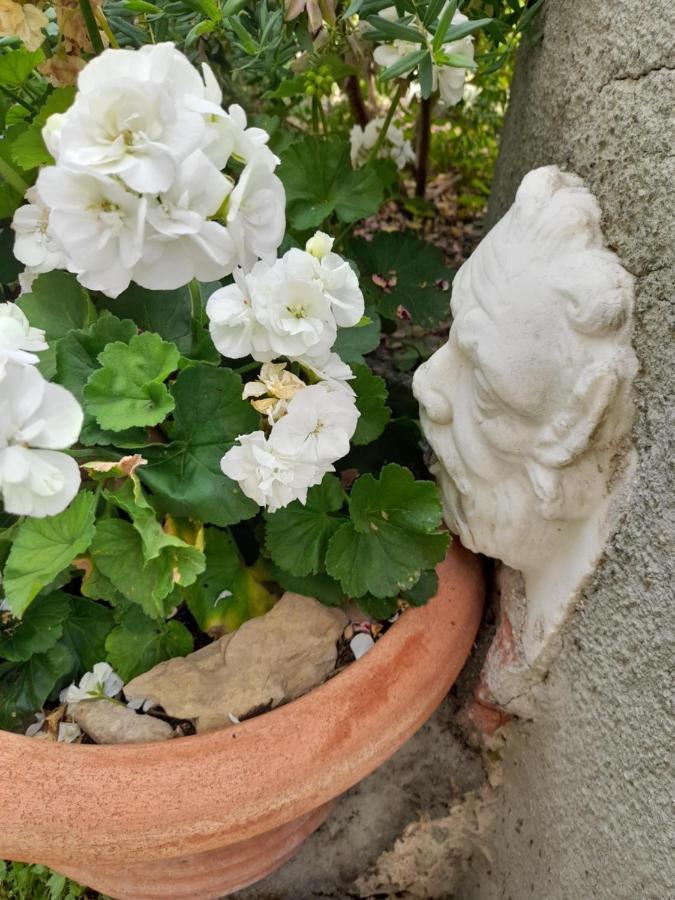 Monti di Licciana Nardi Monti Guesthouse מראה חיצוני תמונה